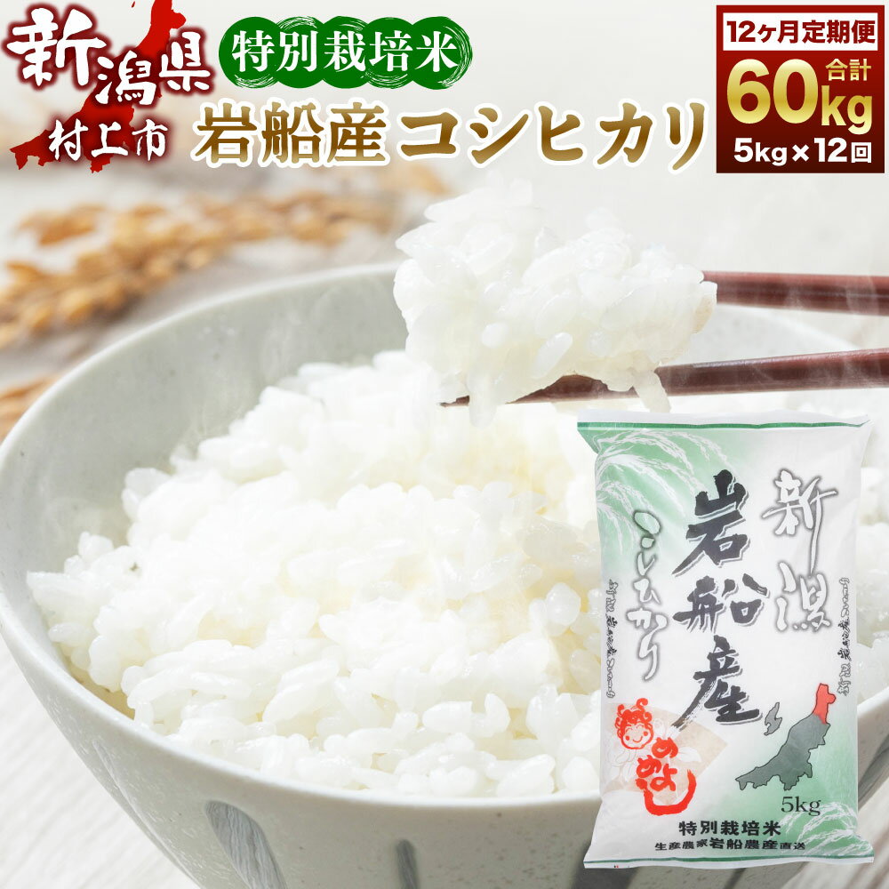 【ふるさと納税】 ＜12ヶ月 定期便＞【令和5年産米】特別栽