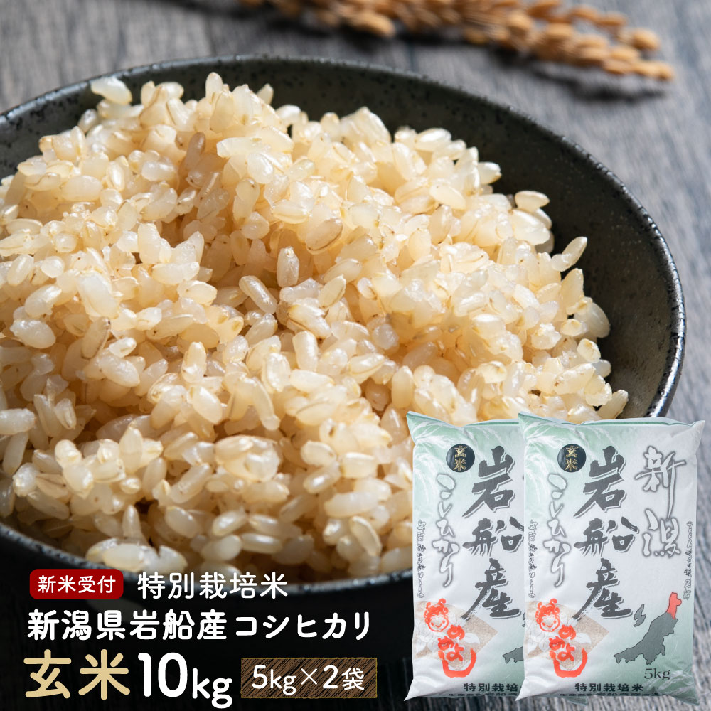 楽天市場】岩船産 コシヒカリ 新米の通販 楽天市場】岩船産 コシヒカリ 新米の通販
