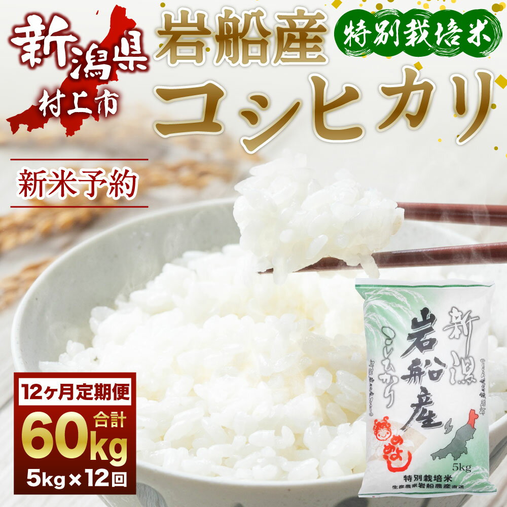 【ふるさと納税】【新米受付・令和6年産米】 ＜12ヶ月 定期便＞ 特別栽培米 新潟県 岩船産 コシヒカリ 合計 60kg （5kg×12ヶ月コース）お米 精米 白米 ご飯 ごはん 新潟県 村上市 NE4027 2