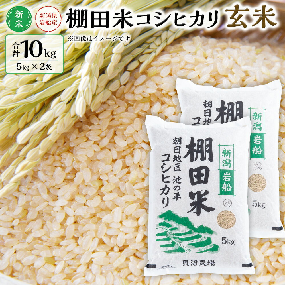 [新米受付・令和6年産米]新潟県岩船産 棚田米コシヒカリ玄米10kg