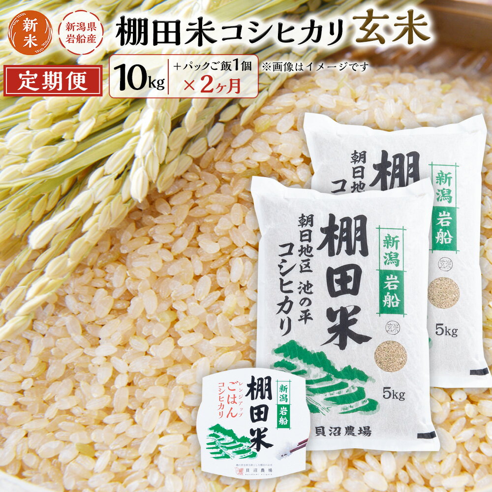 【ふるさと納税】【新米受付・令和6年産米】【定期便：2ヶ月連続でお届け】 新潟県岩船産 棚田米コシ...