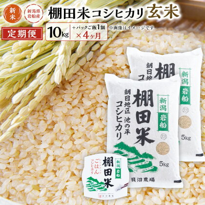 【新米受付・令和6年産米】【定期便：4ヶ月連続でお届け】 新潟県岩船産 棚田米コシヒカリ 玄米10kg ＋ 棚田米コシヒカリのパックごはん(150g×1個)×4ヶ月 1067039N