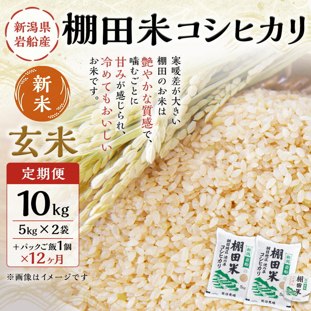 【ふるさと納税】【新米受付・令和6年産米】【定期便：12ヶ月連続でお届け】 新潟県岩船産 棚田米コシヒカリ 玄米10kg ＋ 棚田米コシヒカリのパックごはん(150g×1個)×12ヶ月 1067047N