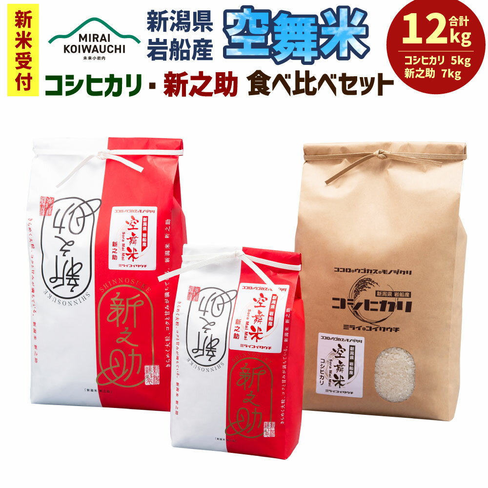 【ふるさと納税】【新米受付・令和6年産米】空舞米 新潟県 岩