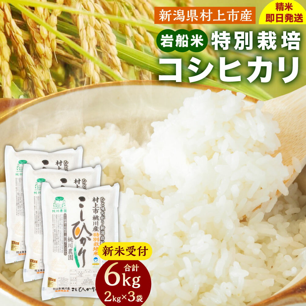 11位! 口コミ数「1件」評価「5」【新米受付・令和6年産米】 新潟県 村上市 桃川産 特別栽培 コシヒカリ 合計 6kg 2kg×3袋 米 精米 白米 ご飯 ごはん NA42･･･ 