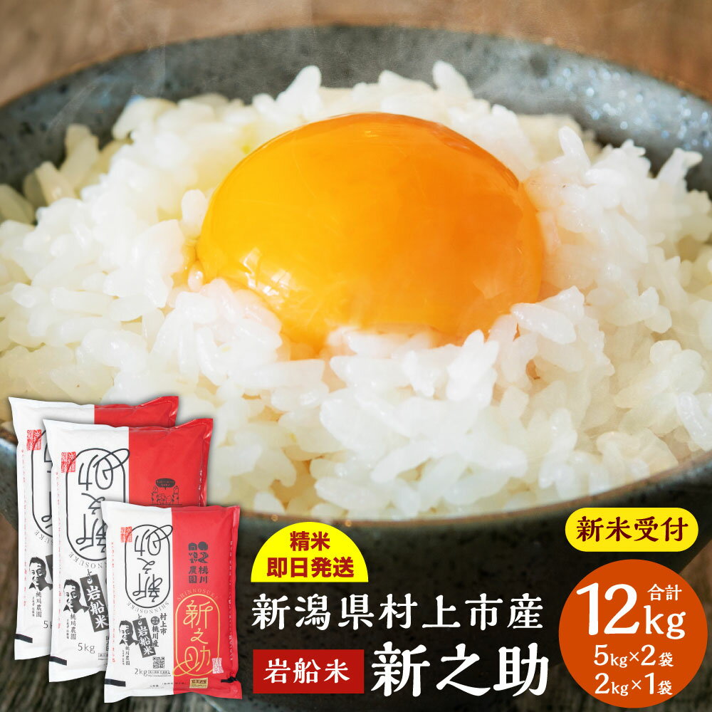 【ふるさと納税】【新米受付・令和6年産米】新潟県 村上市産 新之助 合計 12kg （5kg×2袋・2kg×1袋） 米 精米 白米 ご飯 ごはん NB4073