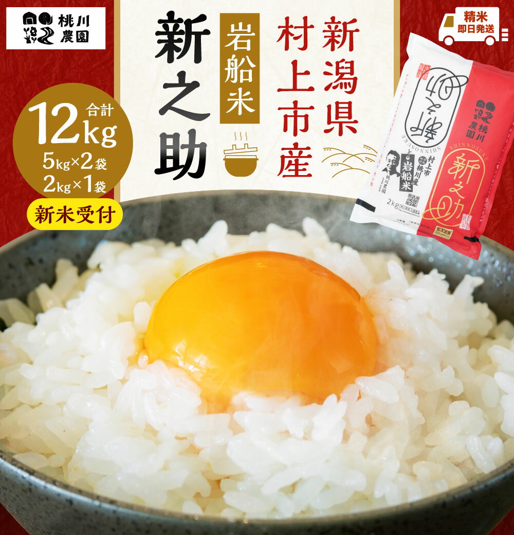 【ふるさと納税】【新米受付・令和6年産米】新潟県 村上市産 新之助 合計 12kg （5kg×2袋・2kg×1袋） 米 精米 白米 ご飯 ごはん NB4073