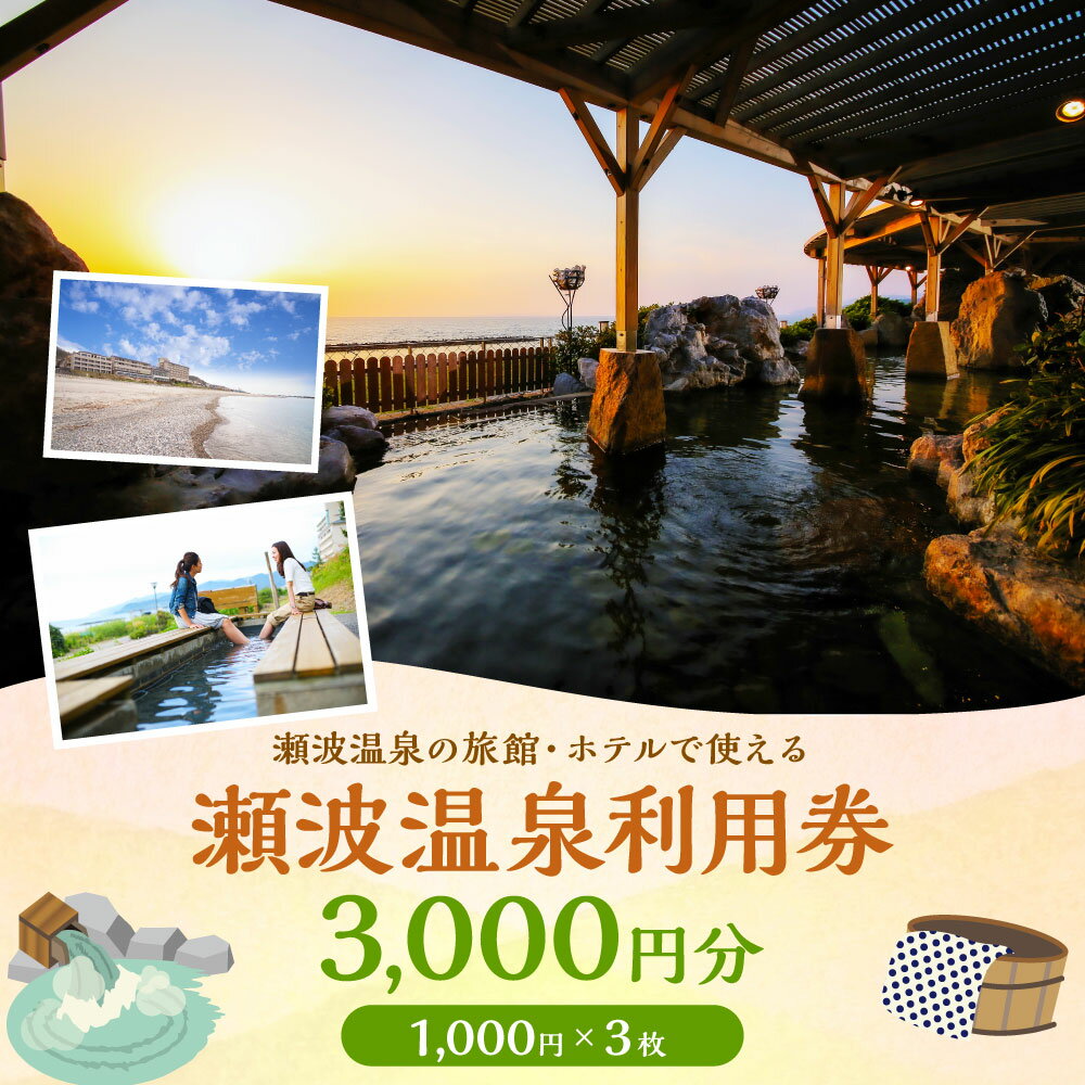 【ふるさと納税】瀬波温泉利用券 3,000円分 (1,000円×3枚) 温泉 温泉券 入浴券 チケット 観光 宿泊 ホテル お土産 新潟県 村上市 K1その2