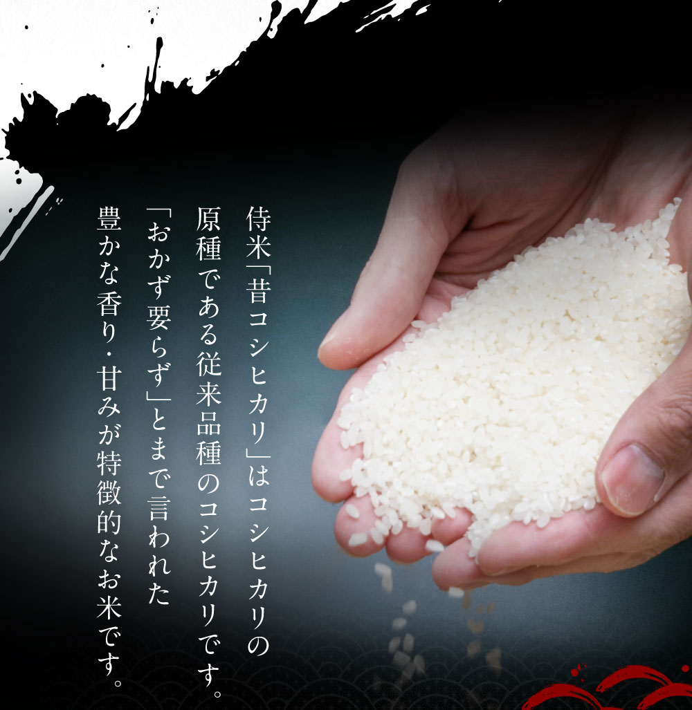 【ふるさと納税】【新米受付・令和8年産米】新潟県村上市岩船産 コシヒカリ 精米 合計 6kg 2kg×3個 セット 米 白米 ご飯 ごはん 新潟県 村上市 新潟県 村上市 NA4091 f152129-murakami-10000377 新潟県村上市 サンプル画像3