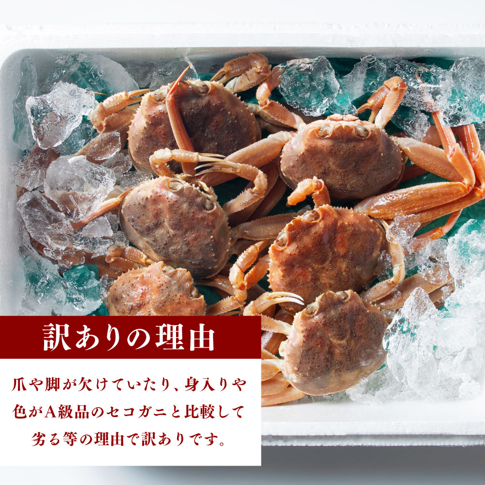 【ふるさと納税】【1月～3月発送】＜訳あり＞ 冷蔵便 生セコガニ 約1kg （5～9尾入） かに カニ 蟹 海鮮 魚介類 甲殻類 産地直送 お取り寄せ 冷蔵 新潟県 村上市 送料無料 1079005 f152129-murakami-10001101 新潟県村上市 サンプル画像3