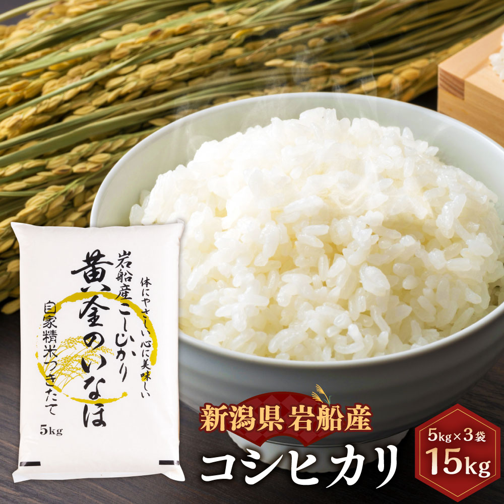 [令和5年産米]自然豊かな風土が育んだ 新潟県 岩船産 コシヒカリ合計 15kg 5kg×3袋 米 精米 白米 ご飯 ごはん 新潟県 村上市