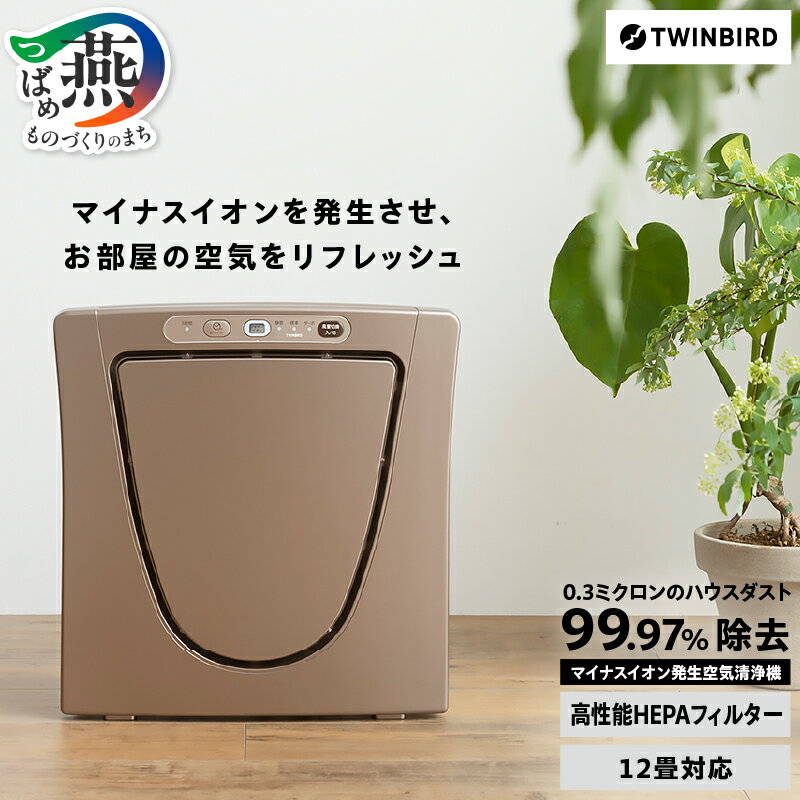 ツインバード HEPAフィルター空気清浄機(AC-5943VO)[ 空気清浄機 清浄機 12畳 脱臭 家電 ペット フィルター式 タイマー付き マイナスイオン ハウスダスト TWINBIRD 新潟県 燕市 燕三条 ][10000449]