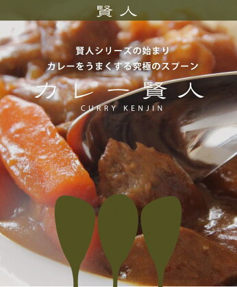 カレー賢人「サクー」(カトラリケース mottecotto付き)【 カレー専用スプーン 新潟県 燕市 燕三条 】