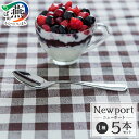 【ふるさと納税】 TBCL ニューポート コーヒースプーン5本セット 【 ステンレス オールミラー仕上げ 持ちやすい 美しい テーブルウェア キッチン用品 キッ...