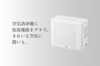 【ふるさと納税】パーソナル加湿空気清浄機(AC-4252W) ツインバード 家電