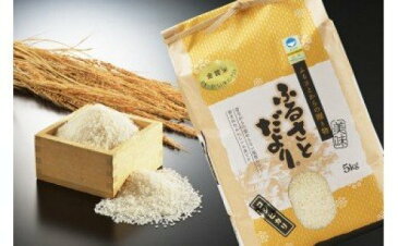 【ふるさと納税】【令和4年産】日本一おいしい米コンテスト金賞受賞 早川農興コシヒカリ 白米5kg