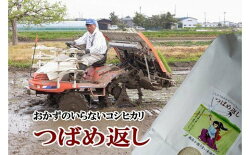 【ふるさと納税】【令和4年産】(先行予約) おかずのいらないコシヒカリ「つばめ返し」10kg 画像2