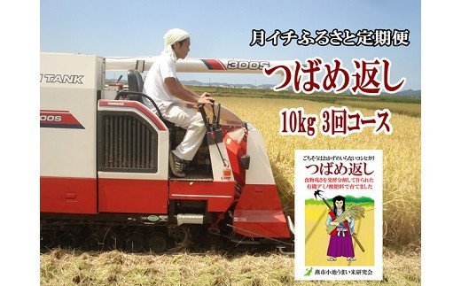 【ふるさと納税】【令和4年産】(先行予約) おかずのいらないコシヒカリ「つばめ返し10kg」3か月定期便(月イチで計3回)