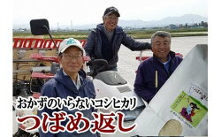 【ふるさと納税】【令和4年産】(先行予約) おかずのいらないコシヒカリ「つばめ返し10kg」3か月定期便(月イチで計3回) 画像1