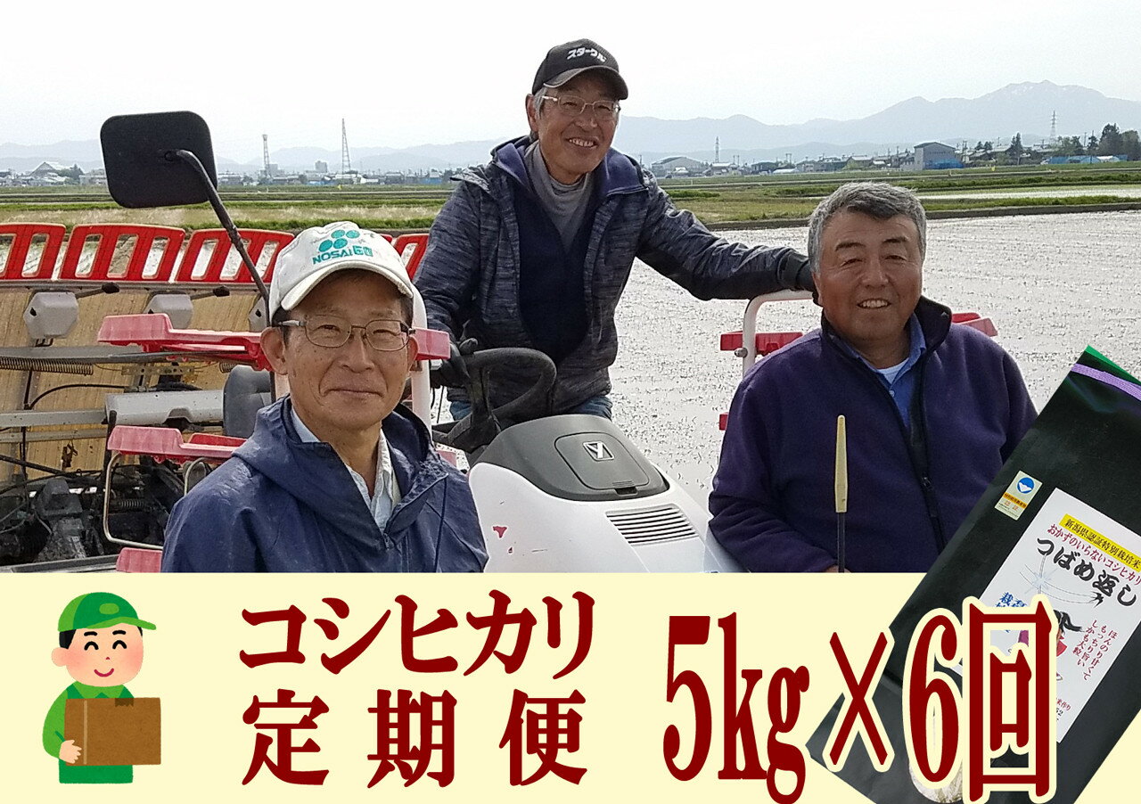 2位! 口コミ数「0件」評価「0」【令和6年産米予約受付中】おかずのいらないコシヒカリ「つばめ返し5kg × 6か月」6か月定期便(月イチで計6回)【 お米 米 こしひかり ･･･ 