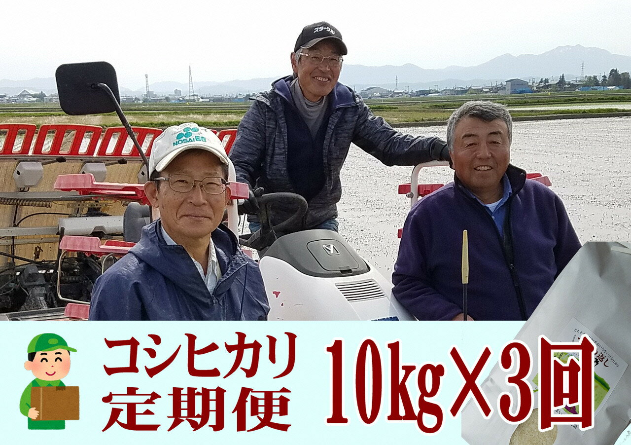 【ふるさと納税】【令和6年産米予約受付中】おかずのいらないコシヒカリ「つばめ返し10kg × 3か月」3か月定期便(月イチで計3回)【 お米 米 こしひかり 定期便 新潟県 燕市 燕三条 】