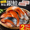 【訳あり】海鮮返礼品 銀鮭切身 (打ち身、色飛び、カマ入) 約2.2kg【 鮭 シャケ さけ サーモン 海鮮 魚 魚介 切り身 規格外 不揃い 冷凍 燕三条 新潟県 燕市 】