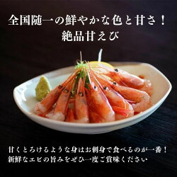 【ふるさと納税】 甘エビ 糸魚川【プロも太鼓判！】糸魚川産『甘エビ』　際立つ甘さと鮮やかさ　日本海直送 伝兵水産 画像1