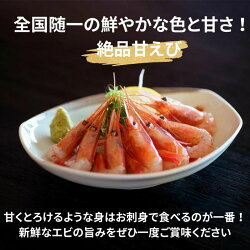 【ふるさと納税】【プロも太鼓判！】糸魚川産『甘エビ』　際立つ甘さと鮮やかさ　日本海直送 伝兵水産 画像1