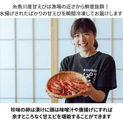 【ふるさと納税】【プロも太鼓判！】糸魚川産『甘エビ』　際立つ甘さと鮮やかさ　日本海直送 伝兵水産 画像2