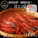 【ふるさと納税】日本日本海直送 瞬間冷凍 甘エビ 250g×5パック 計1.25kg【プロも太鼓判！】 際立つ甘さと鮮やかさ 糸魚川 伝兵水産 えび 海老