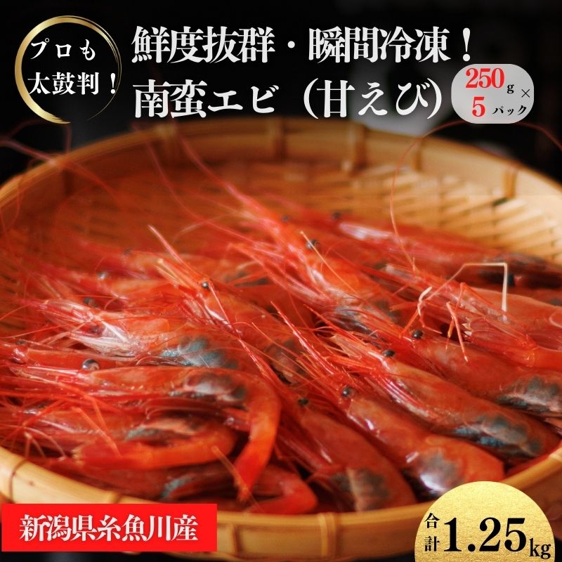 21位! 口コミ数「0件」評価「0」甘エビ 250g×5パック 計1.25kg 日本海直送 瞬間冷凍 プロも太鼓判！ 際立つ甘さと鮮やかさ 新潟県 糸魚川市 伝兵水産 えび 海･･･ 