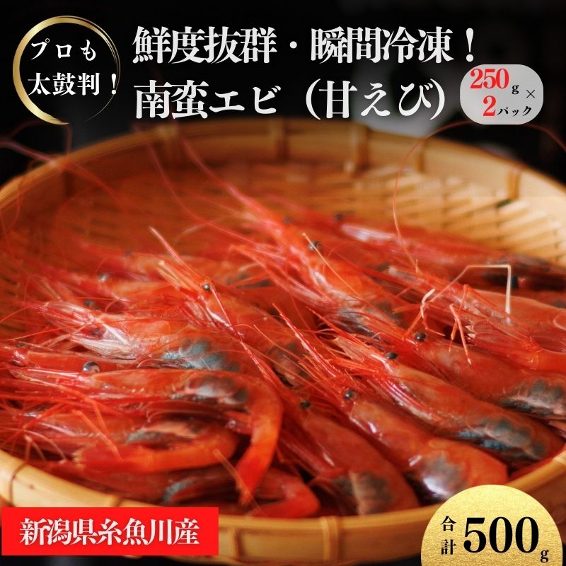 【ふるさと納税】甘エビ 250g×2パック 計500g 日本海直送 瞬間冷凍 プロも太鼓判！ 際立つ甘さと鮮やかさ 新潟県 糸魚川市 伝兵水産 えび 海老 南蛮エビ【 海老 えび エビ アマエビ あまえび 殻付き 有頭 生食 刺身 魚介類 魚貝類 国産 人気】のサムネイル