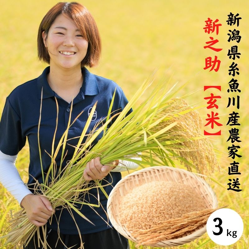 【ふるさと納税】 【令和4年産新米予約受付】農家直送　新之助【玄米】5kg