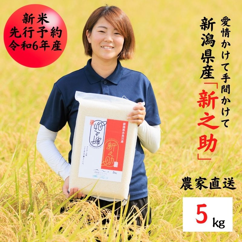 【ふるさと納税】米 新米【令和6年産 新米先行予約】新之助 5kg 新潟県産 農家直送 真空パック 令和6年産 糸魚川 清耕園ファーム 美味しい 農家自慢 お米 白米 おにぎり お弁当 大粒 ツヤ 甘み 深い味わい 粘り 弾力のサムネイル