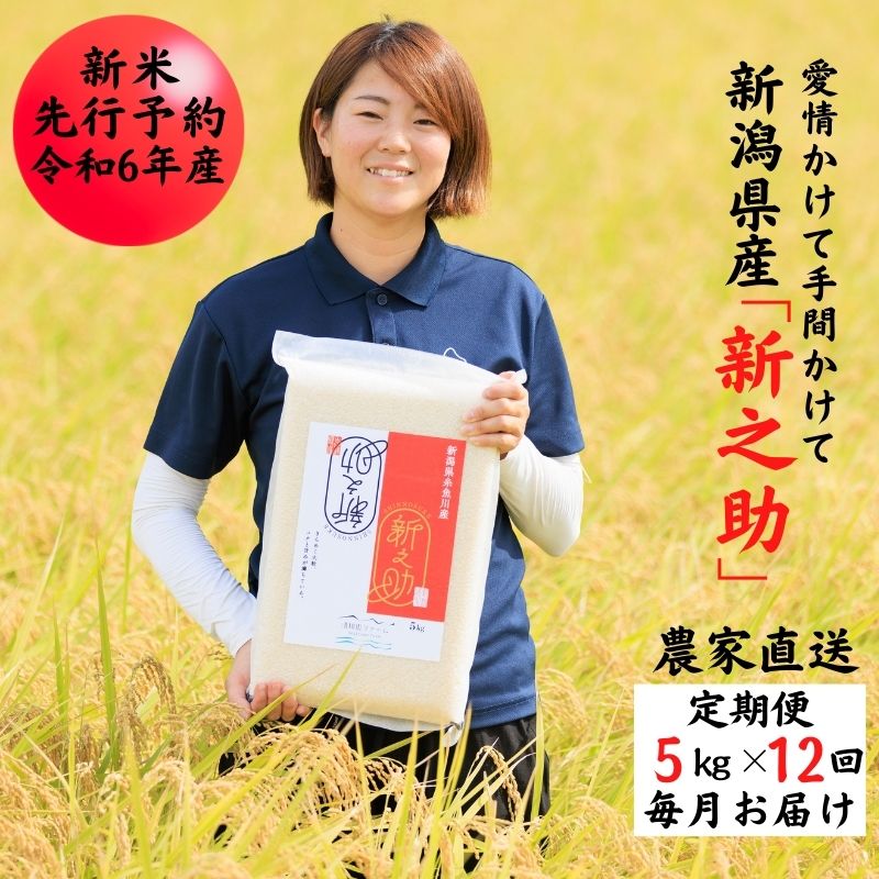 【ふるさと納税】米 新米【令和6年産 新米先行予約】【12ヶ月定期便】新之助 5kg×12回 毎月お届け (計60kg) 真空パック 農家直送 新潟県産 新潟 糸魚川 清耕園ファーム 美味しい 農家自慢 お米 白米 おにぎり お弁当 大粒 ツヤ 甘み 深い味わい 粘り 弾力