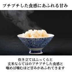 【ふるさと納税】【新米予約令和5年産】新潟県産 新之助【玄米】5kg×1袋 農家直送 真空パック きらめく大粒 コクと甘みが満ちている 令和5年産 糸魚川 清耕園ファーム おいしいコメ お米･･･ 画像1