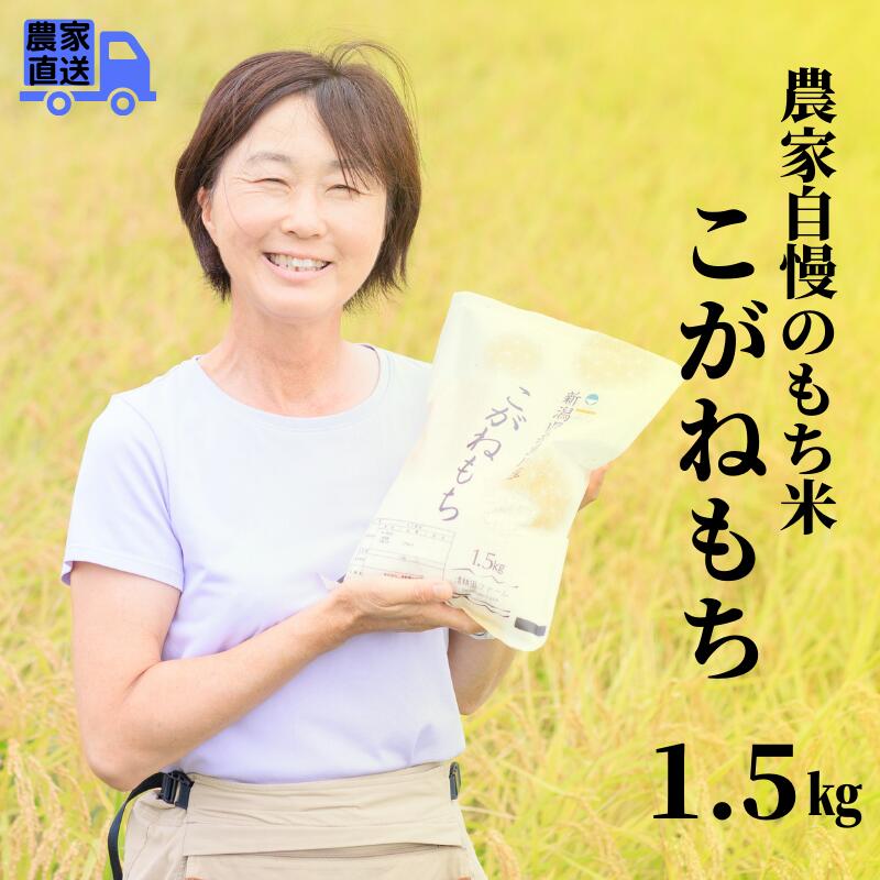 【ふるさと納税】【令和5年産新米】新潟県産 もち米『こがねもち』1.5kg(1升) つやつやモチモチ もち米ならではの芳醇な香り 清耕園ファーム にいがた もちごめ 1.5kg 1升 いといがわ お正月 もち 赤飯 美味しい 新潟米 つきたて･･･