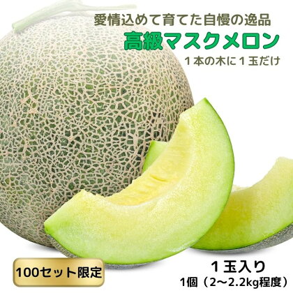 【先行予約100セット限定】高級マスクメロン 1個入り(2~2.2kg) 濃厚な甘みととろける食感 農家直送 アールスメロン 糸魚川 清耕園ファーム