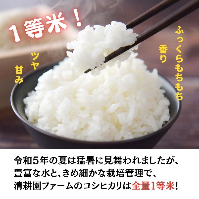 【ふるさと納税】米 コシヒカリ【定期便】5kg×3回 全15kg農家直送 新潟県産 清流早川が育てた うまい米 糸魚川 清耕園ファーム プロも絶賛おいしいコメ 新潟県産こしひかり5kg 美味しい 農家自慢 お米 白米 おにぎり お弁当 ふっくら つやつや