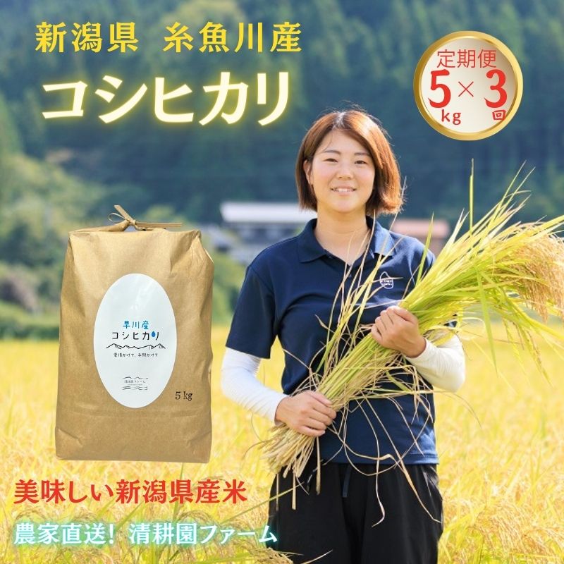 【ふるさと納税】米 コシヒカリ【定期便】5kg×3回 全15kg農家直送 新潟県産 清流早川が育てた うまい米 糸魚川 清耕園ファーム プロも絶賛おいしいコメ 新潟県産こしひかり5kg 美味しい 農家自慢 お米 白米 おにぎり お弁当 ふっくら つやつや･･･