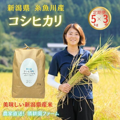 米 コシヒカリ【定期便】5kg×3回 全15kg農家直送 新潟県産 清流早川が育てた うまい米 糸魚川 清耕園ファーム プロも絶賛おいしいコメ 新潟県産こしひかり5kg 美味しい 農家自慢 お米 白米 おにぎり お弁当 ふっくら つやつや