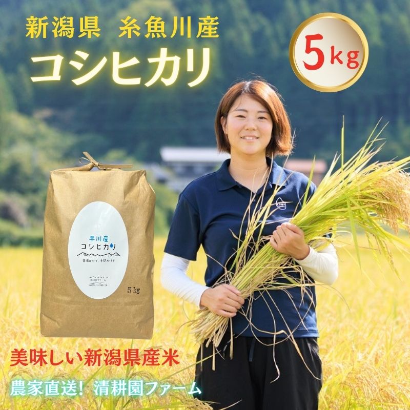 【ふるさと納税】米 コシヒカリ 5kg ×1袋 農家直送 新潟県産 清流早川が育てた うまい米 糸魚川 清耕園ファーム プロも絶賛おいしいコメ 新潟県産コシヒカリ5kg 美味しい 農家自慢 お米 白米 おにぎり お弁当 ふっくら つやつや･･･