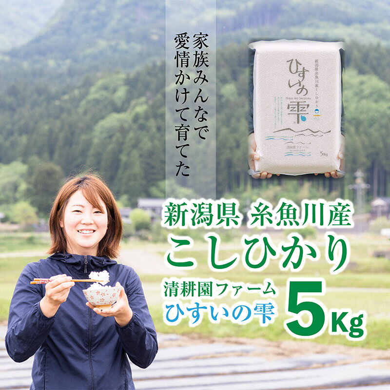 糸魚川市 臼玉米(こしいぶき・精米)5kg×2 ふるさと納税 - www.pianurainn.it