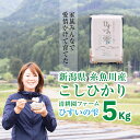 【ふるさと納税】新潟県産コシヒカリ『ひすいの雫』　5kg　令和4年産新米　農家直送　特別栽培米　清流早川が育てたうまい米