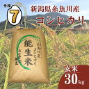 【ふるさと納税】 令和7年産 新米予約 『新潟県産コシヒカリ』 玄米 30kg 農家直送(精米サービス可能) 農家直送 あぐ里能生 プロが認めたうまい米 ふっくらもちもち 糸魚川 農家自慢 精米 白米 おにぎり お弁当 新潟米 産地直送 コシヒカリ30kg あぐ里能生 米