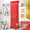 【ふるさと納税】 令和7年産 新米予約 『新之助』 【9ヶ月定期便】 5kg×9回 毎月お届け 計45kg 新潟県糸魚川産 農家直送便 2025年 白米 しんの...
