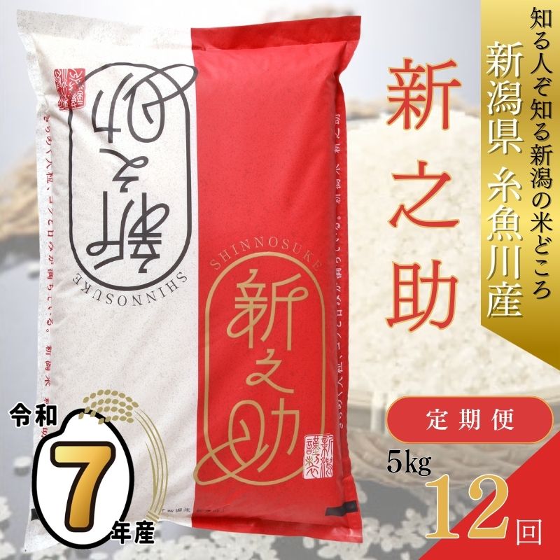 【ふるさと納税】 令和7年産 新米予約 『新之助』 【12ヶ月定期便】 5kg×12回 毎月お届け 計60kg 新潟県糸魚川産 農家直送便 2025年 白米 しんのすけ 12か月 1年 あぐ里能生 食品 人気 おすすめ ギフト 新潟県の新ブランド米 産地直送 精米 米 こめのサムネイル