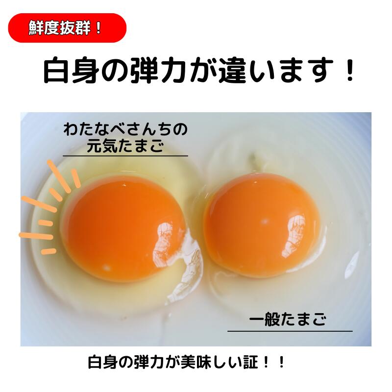 【ふるさと納税】朝採り たっぷり40個(36個＋割れ補償4個)濃厚で 新鮮！ 美味しい 卵 TKG わたなべさんちの元気たまご 20個×2パック 新潟県 糸魚川 フェルエッグ 卵かけご飯 オムレツ 朝食 卵料理 美味しい 卵焼き