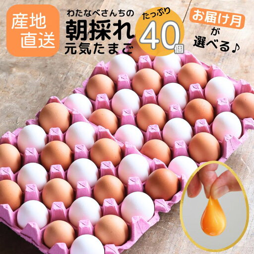 【ふるさと納税】朝採り卵 たっぷり40個(36個+割れ補償4個) 選べる 配送月 濃厚で 新鮮! 美味しい 卵 TKG わたなべさんちの元気たまご 20個×2パック 新潟県 糸魚川 フェルエッグ 卵かけご飯 オムレツ 朝食 卵料理 美味しい 卵焼き 玉子 【ふるさと納税】朝採り卵 たっぷり40個(36個+割れ補償4個) 選べる 配送月 濃厚で 新鮮! 美味しい 卵 TKG わたなべさんちの元気たまご 20個×2パック 新潟県 糸魚川 フェルエッグ 卵かけご飯 オムレツ 朝食 卵料理 美味しい 卵焼き 玉子