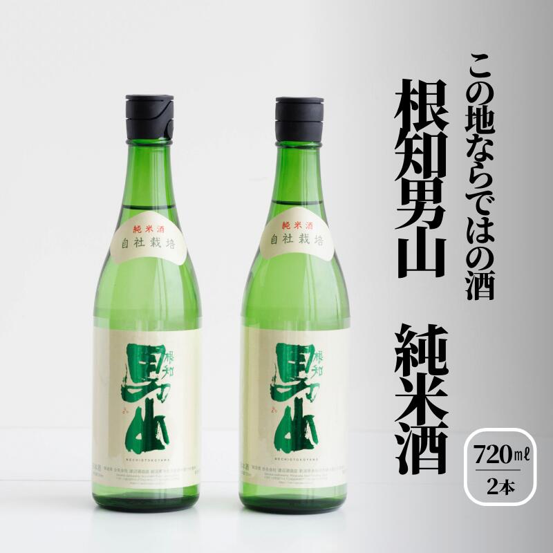 根知男山 純米酒720ml×2本 日本酒 新潟県 糸魚川男山 糸魚川 渡辺酒造 こだわりの酒 地酒 ドメーヌ・スタイル 父の日 ギフト 贈り物